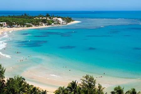 Seaside Serenity - Cozy Studio Διαμέρισμα Luquillo Εξωτερικό φωτογραφία