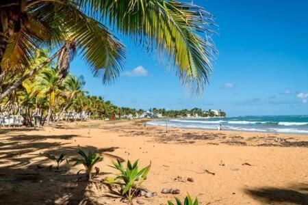Seaside Serenity - Cozy Studio Διαμέρισμα Luquillo Εξωτερικό φωτογραφία